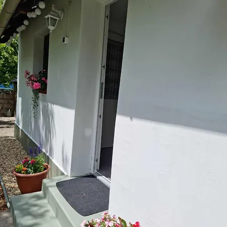 Apartament Ancient *